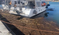 Il Porto di Oneglia invaso da detriti dopo la mareggiata