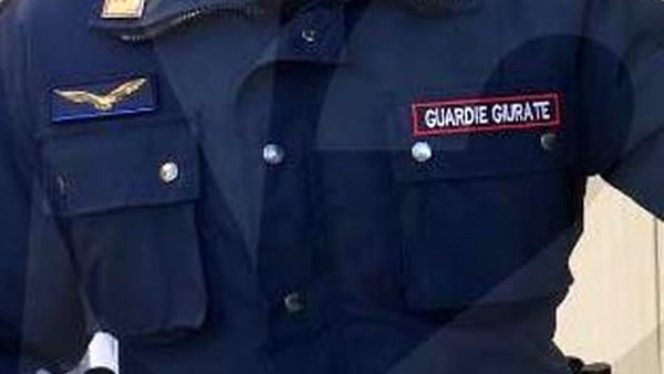 Guardia giurata aggredita al Carrefour