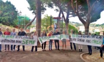 A Sanremo una marcia per salvare gli alberi