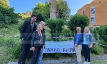 Attivisti minacciano di incatenarsi contro l'abbattimento di un albero al Borea di Sanremo