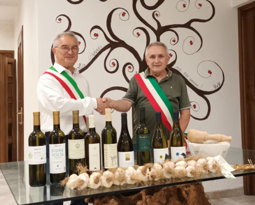 Primo campionato nazionale di salsa al mortaio con aglio di Vessalico