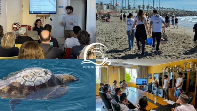 Al via la ricerca di nidi e tracce di tartarughe marine nel ponente