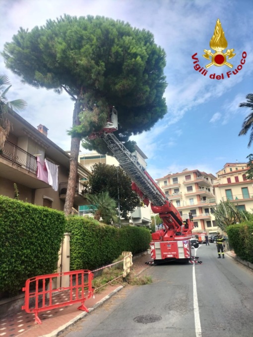 Bilancio definitivo: circa 90 gli interventi dei Vigili del Fuoco per il maltempo