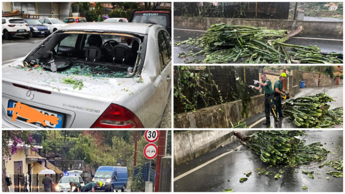 Danni da maltempo a Sanremo: piante divelte e lunotto sfondati