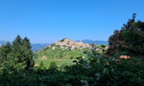 A Bajardo domenica torna la Festa della Lavanda