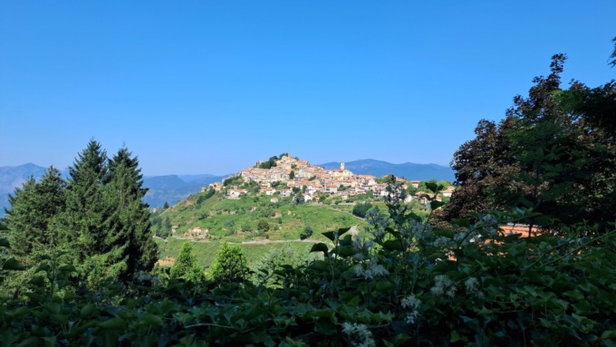 A Bajardo domenica torna la Festa della Lavanda