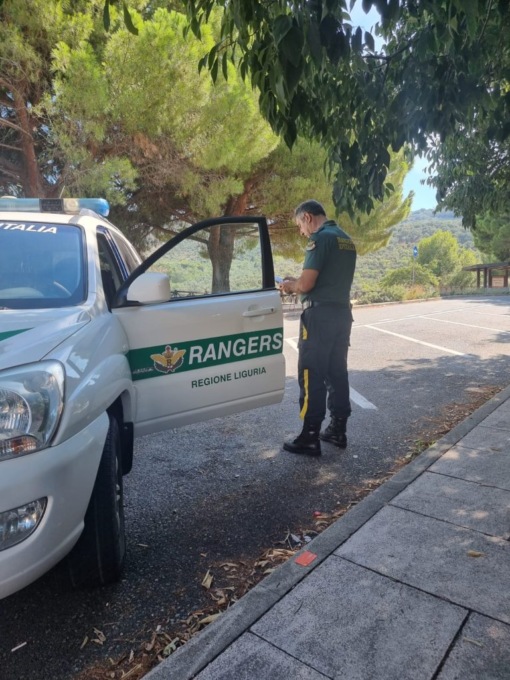 Controlli sulla A10 contro abbandono cani