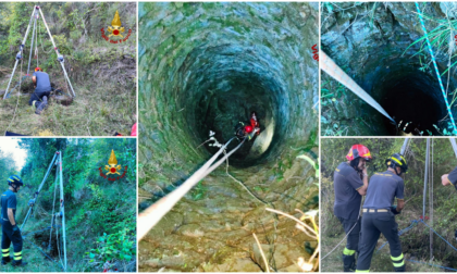 Cane caduto in un pozzo, mobilitazione di soccorsi a Cipressa