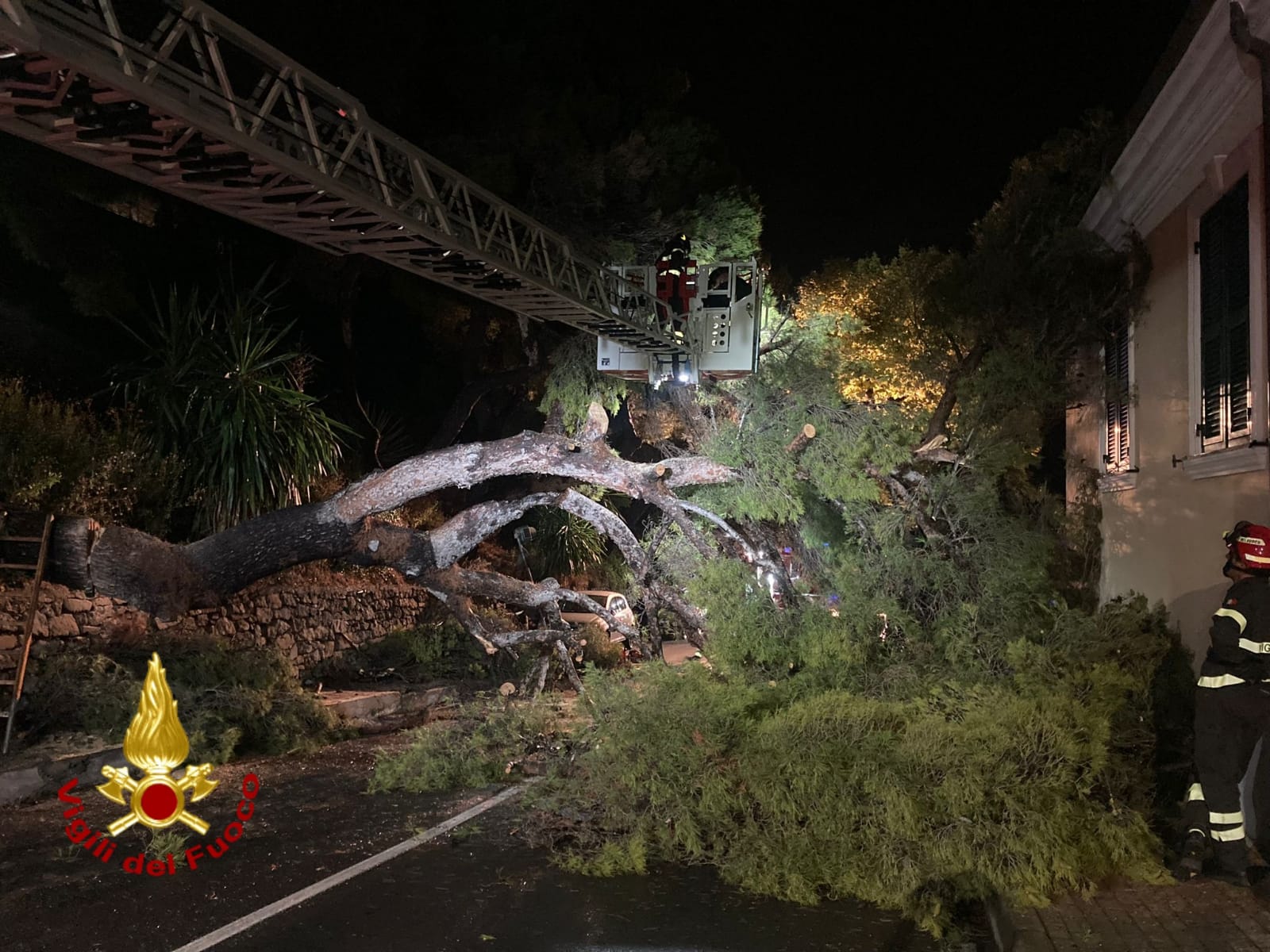 maltempo 8 settembre 2024 albero crollato via toscanini ventimiglia_04