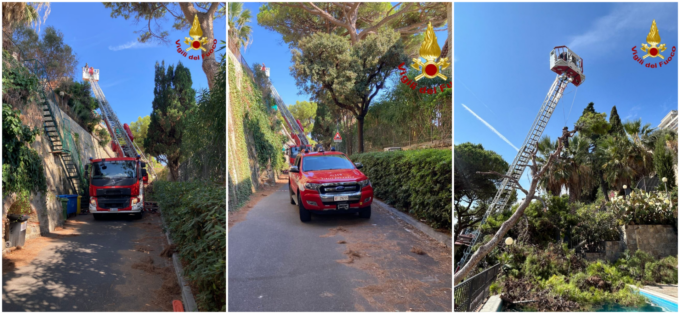 Albero crolla e si appoggia sul muro di un condominio a Ospedaletti