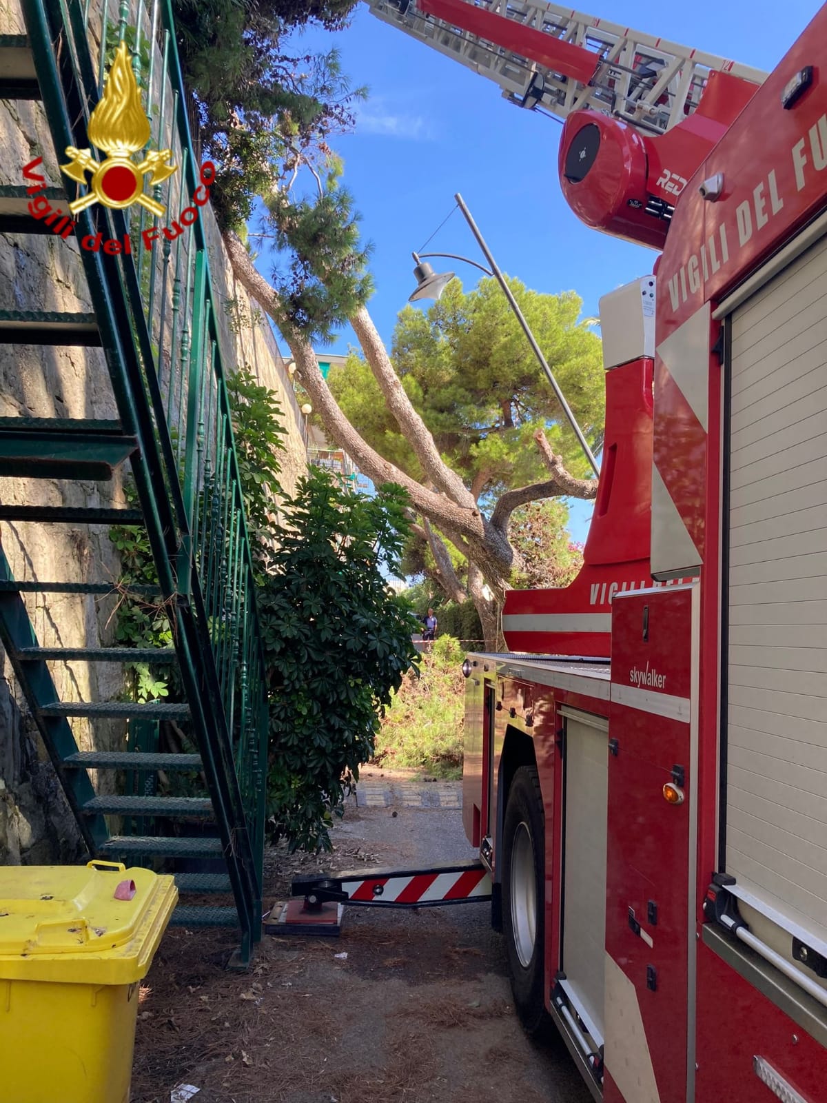 ospedaletti albero caduto muro condominio lungomare cristoforo colombo