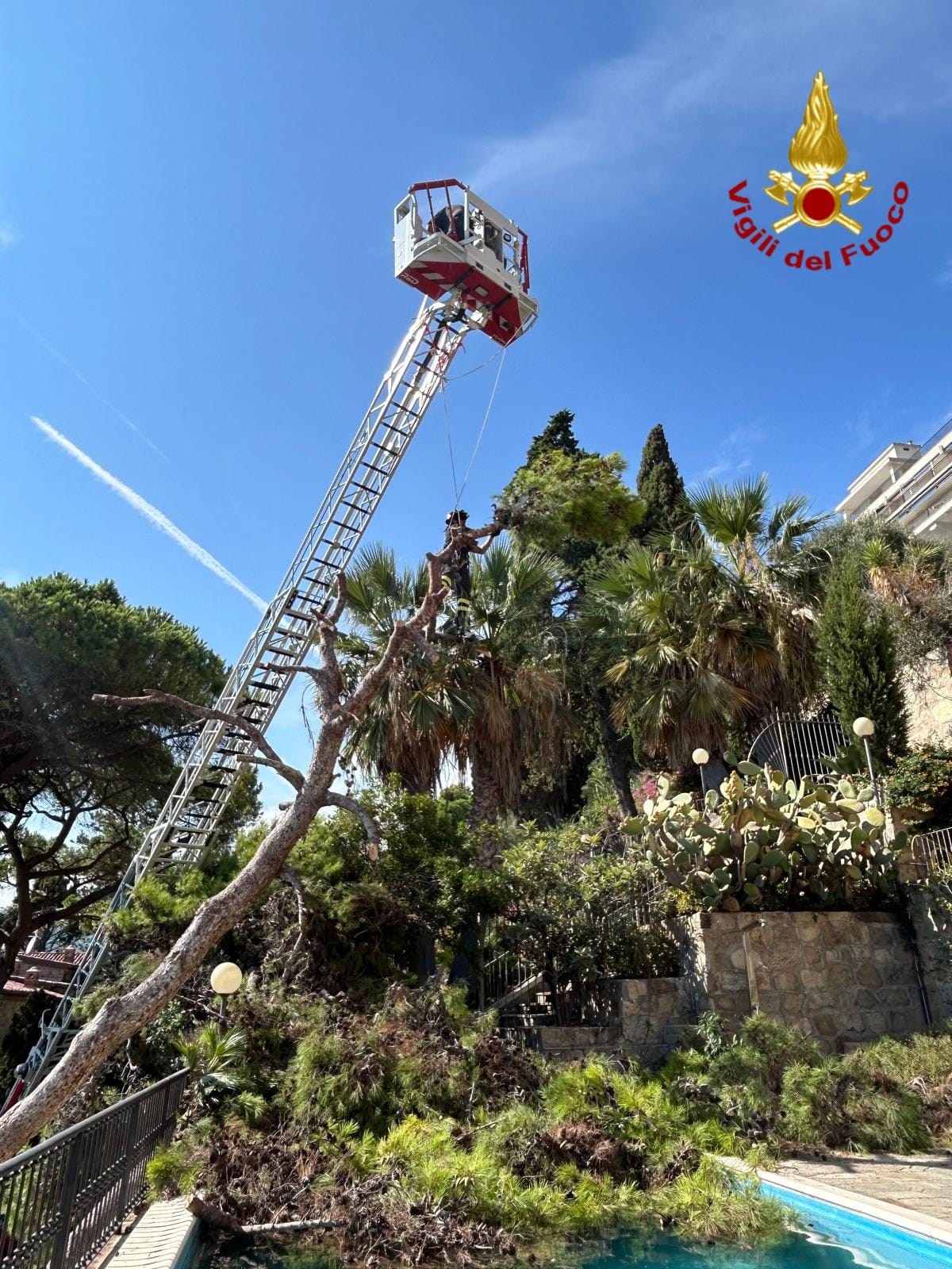 ospedaletti albero caduto muro condominio lungomare cristoforo colombo_04