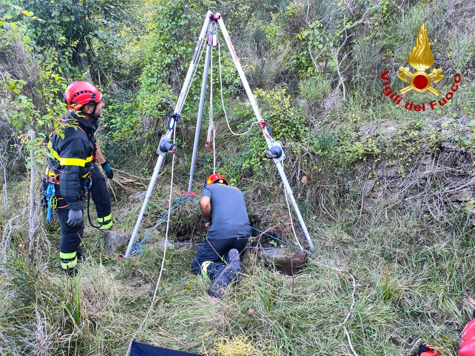 salvataggio cane cipressa vigili del fuoco_02