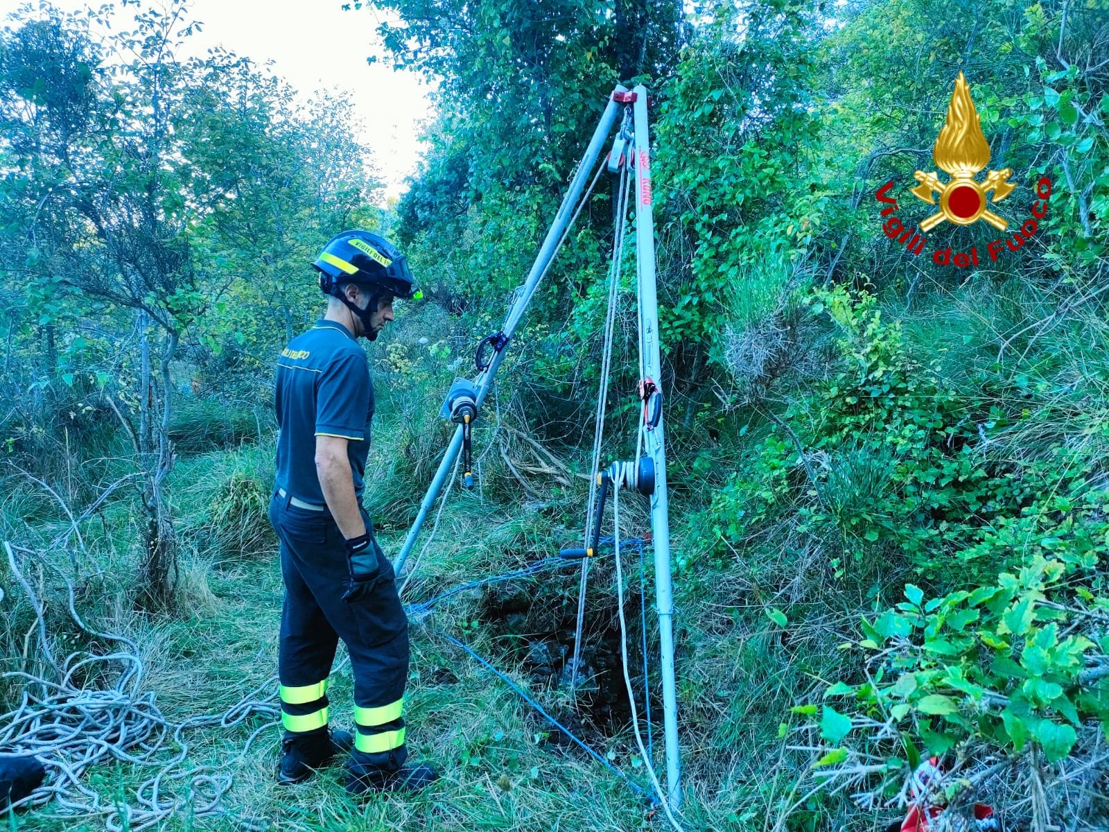 salvataggio cane cipressa vigili del fuoco_04