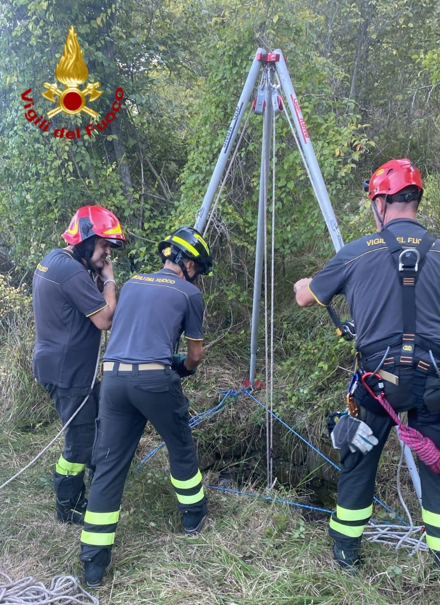 salvataggio cane cipressa vigili del fuoco_05