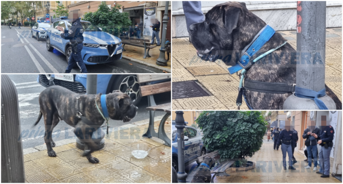 Paura a Sanremo: cane di grossa taglia tenta di aggredire passanti e poliziotto