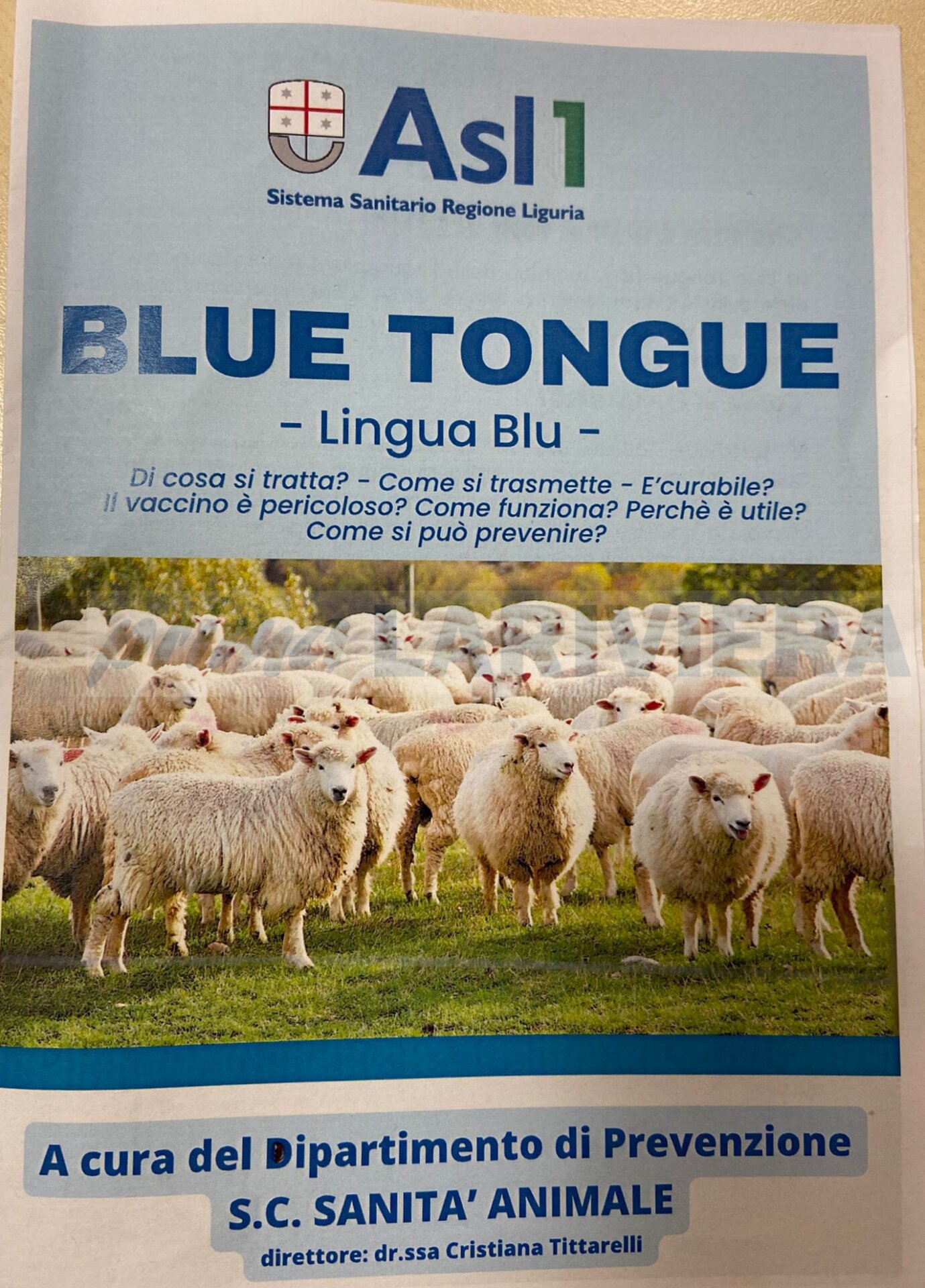 pecore lingua blu tongue imperia asl veterinario ufficio