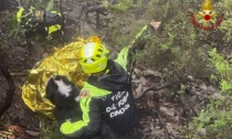 Cercatore di funghi ritrovato ad Arenzano grazie al cane di un vigile del fuoco imperiese