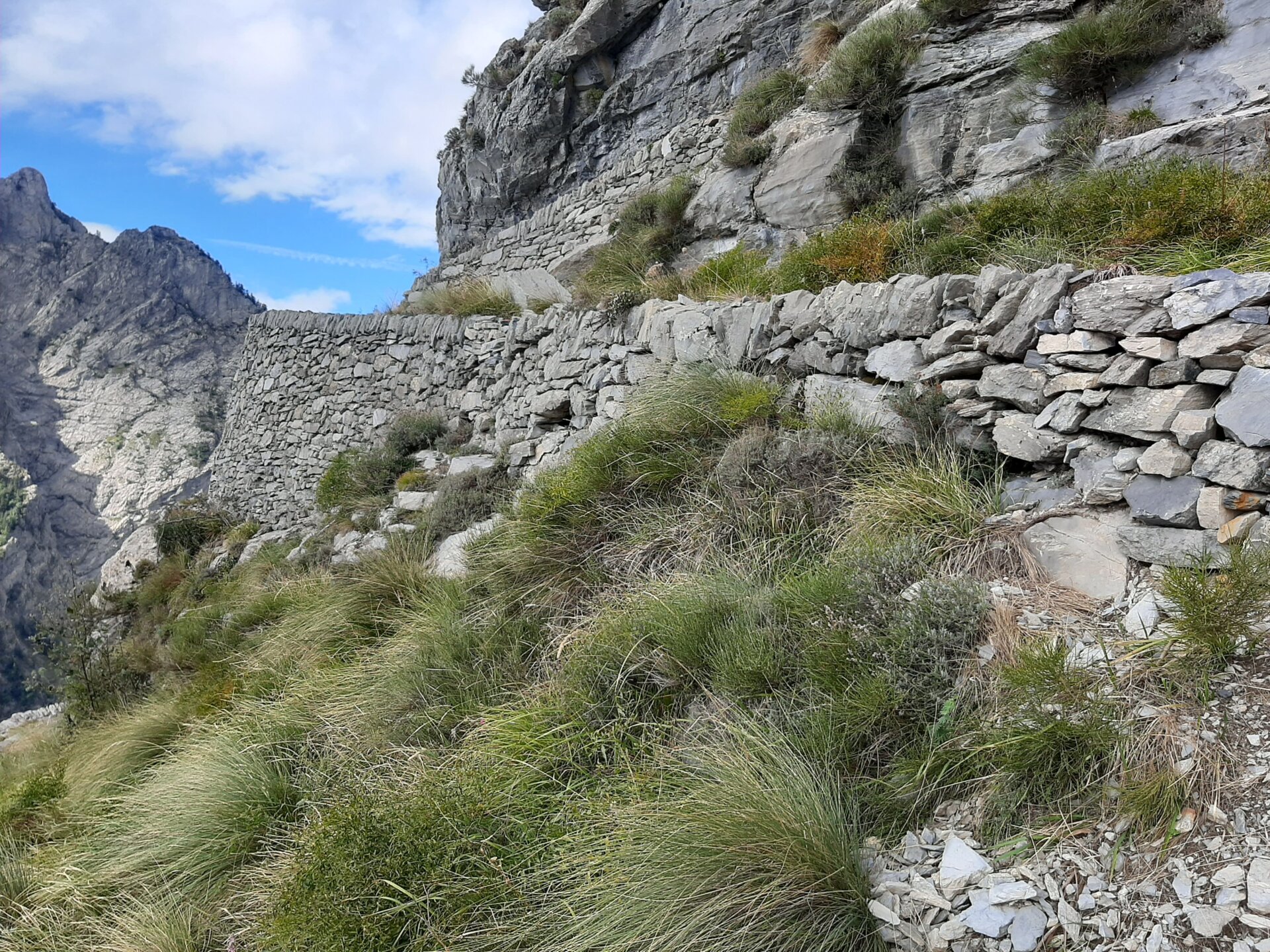 sentiero alpini 5