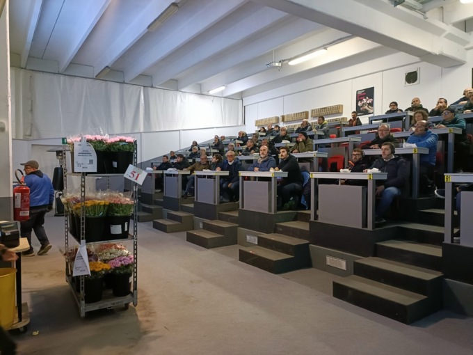 Stamattina la prima asta della stagione al Mercato dei Fiori