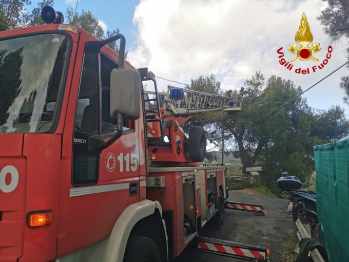 Intervento dei Vigili del Fuoco per  rami spezzati