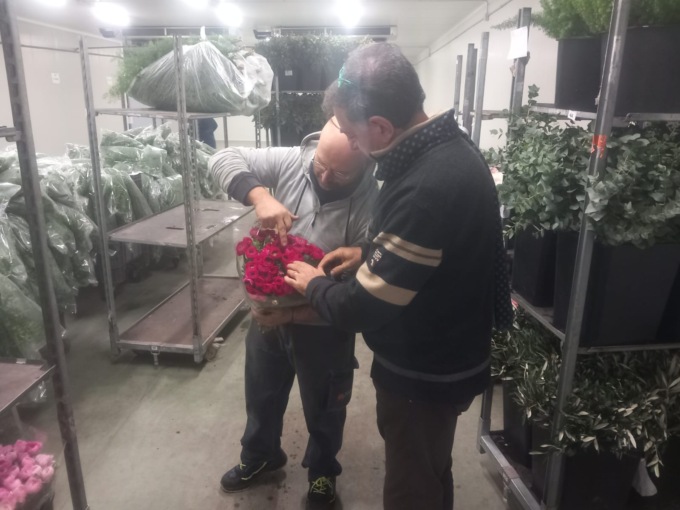 Partono stasera i fiori da Sanremo per la cerimonia dei Nobel