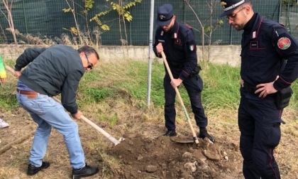 A Soldano la Festa degli alberi per gli studenti delle scuole primarie e dell'infanzia