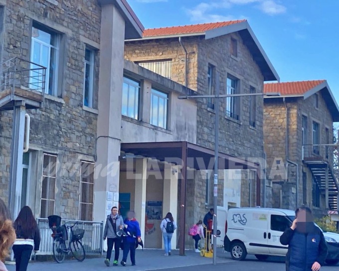 Sciame di api interrompe le lezioni alle scuole di Vallecrosia