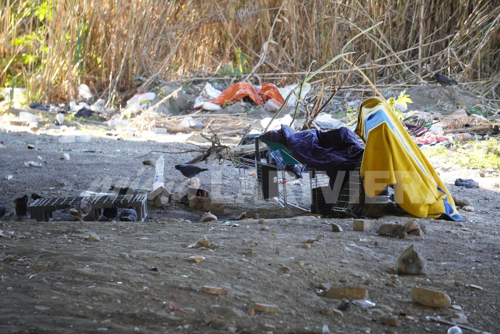 accampamento migranti roya roverino tendopoli 23 dicembre 2024