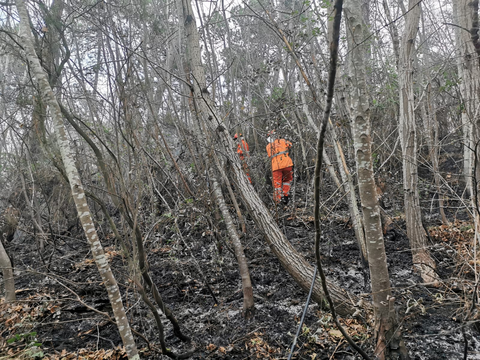 incendio santa brigida dolcedo 24 dicembre 2024 boschivo pascolo_03