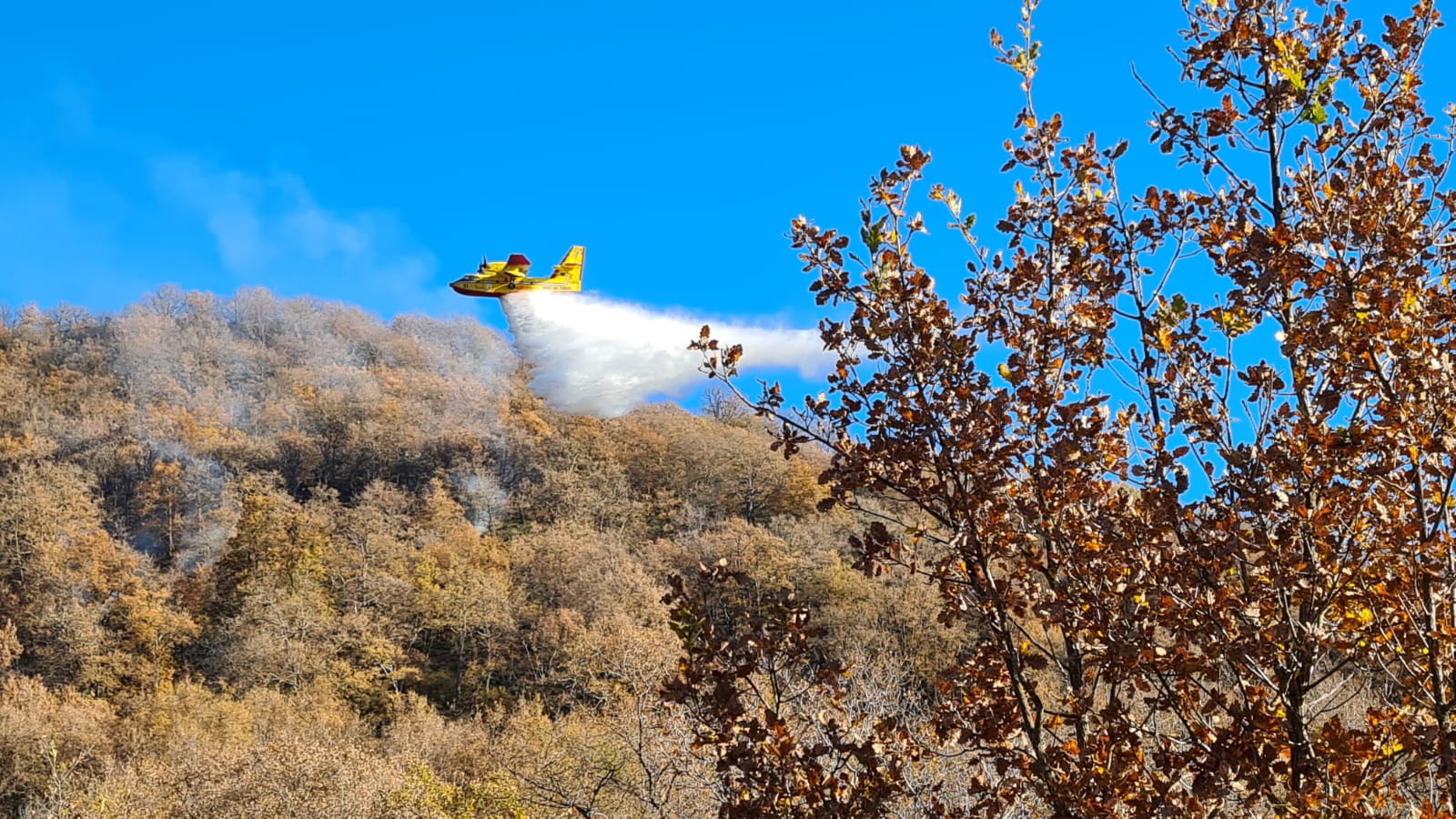 incendio santa brigida dolcedo 24 dicembre 2024 boschivo pascolo_06