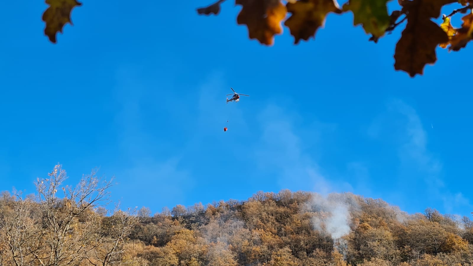 incendio santa brigida dolcedo 24 dicembre 2024 boschivo pascolo_07