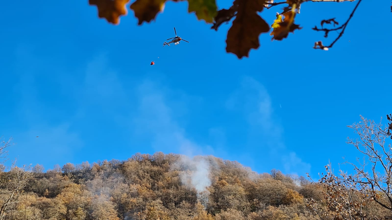 incendio santa brigida dolcedo 24 dicembre 2024 boschivo pascolo_08