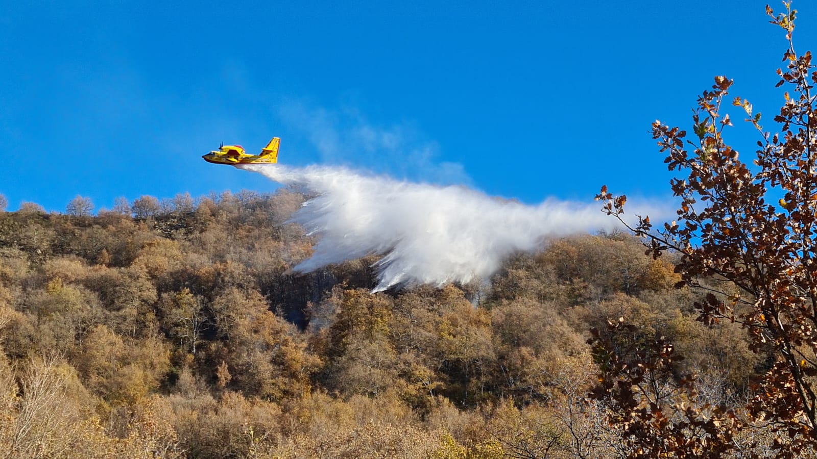 incendio santa brigida dolcedo 24 dicembre 2024 boschivo pascolo_09