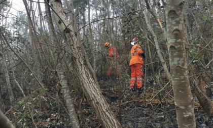 E' spento e in fase di bonifica l'incendio di Dolcedo