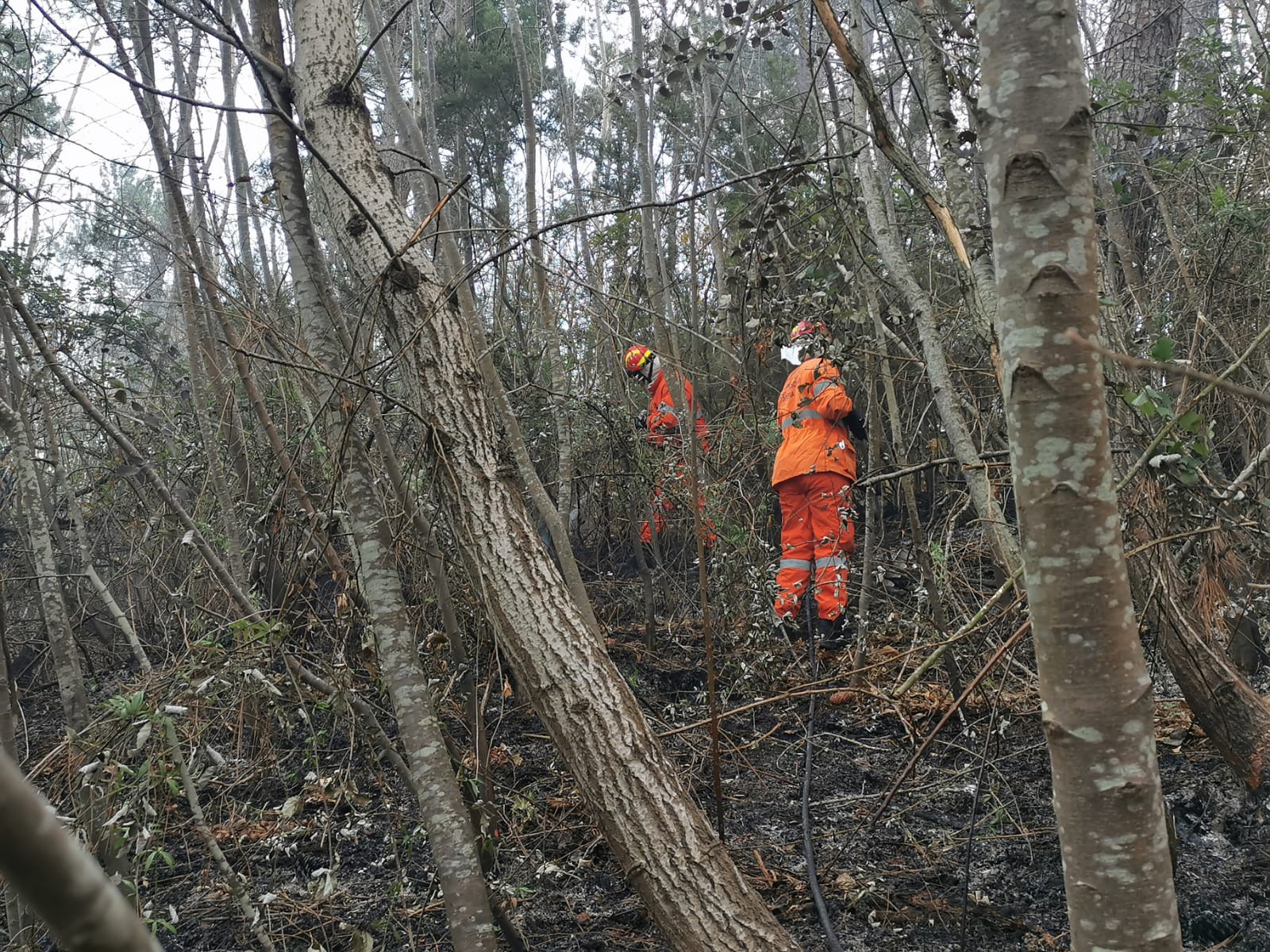 incendio santa brigida dolcedo 24 dicembre 2024 boschivo pascolo_10