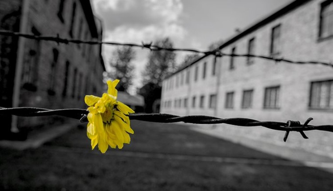 Giorno della Memoria, gli eventi a Ventimiglia