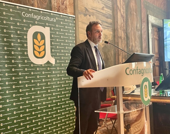 Piana a “Olio di oliva, dalla tradizione al futuro”: “Ho ribadito l’importanza del riconoscimento IGP della Taggiasca Ligure in Salamoia”