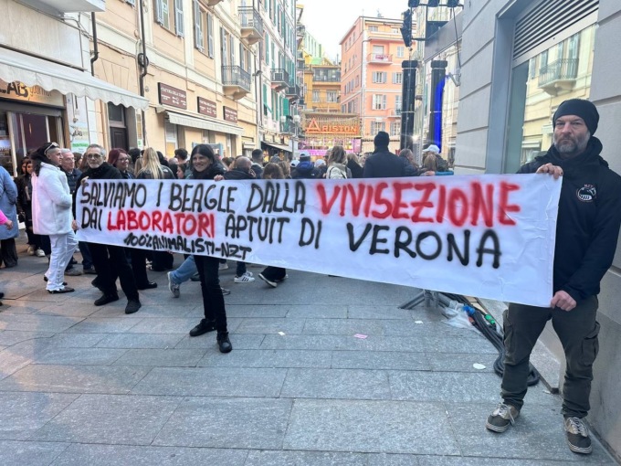 Animalisti in zona rossa al Festival per salvare i beagle dalla vivisezione