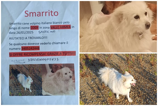 Cody sparito da 25 giorni. L’appello: “Aiutatemi a trovarlo offro ricompensa”