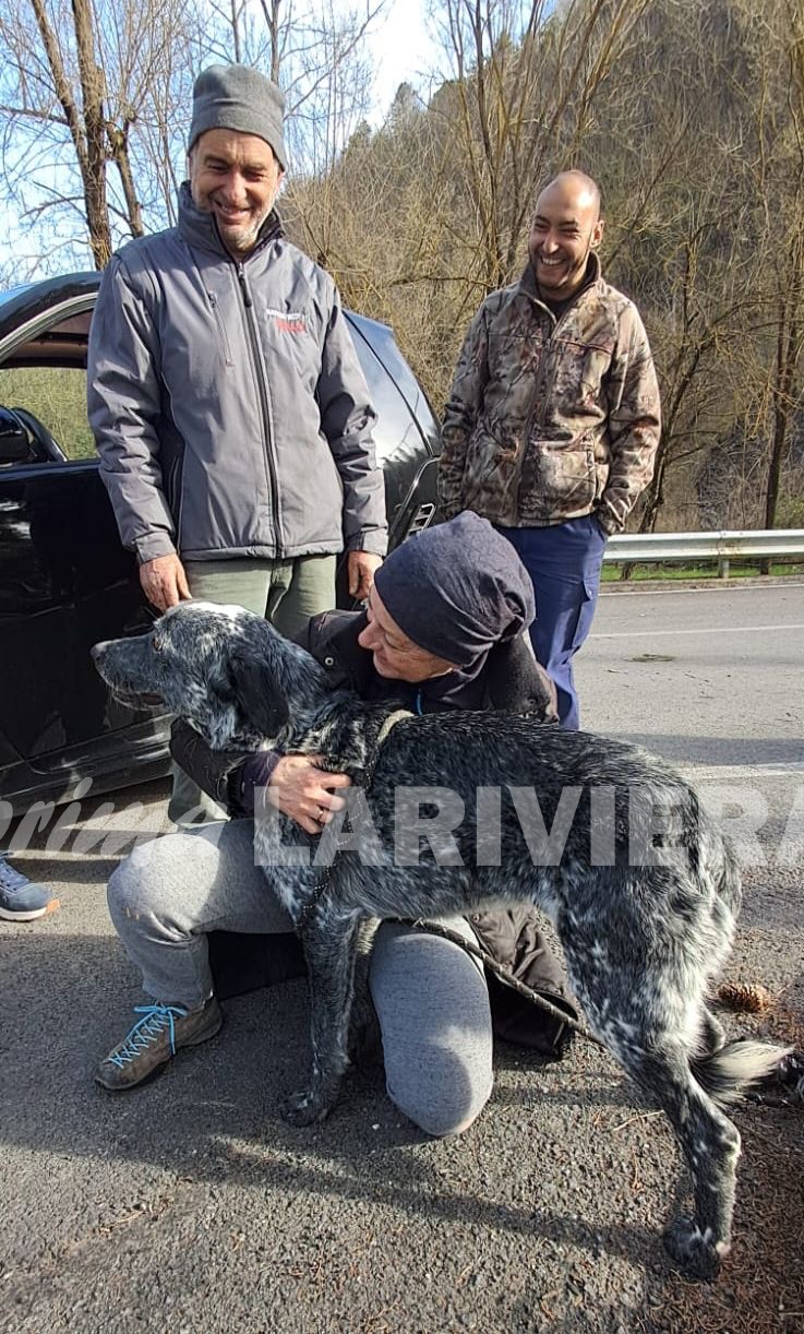 1 ritrovamento ricerche cane meticcio disperso colle melosa vigili del fuoco