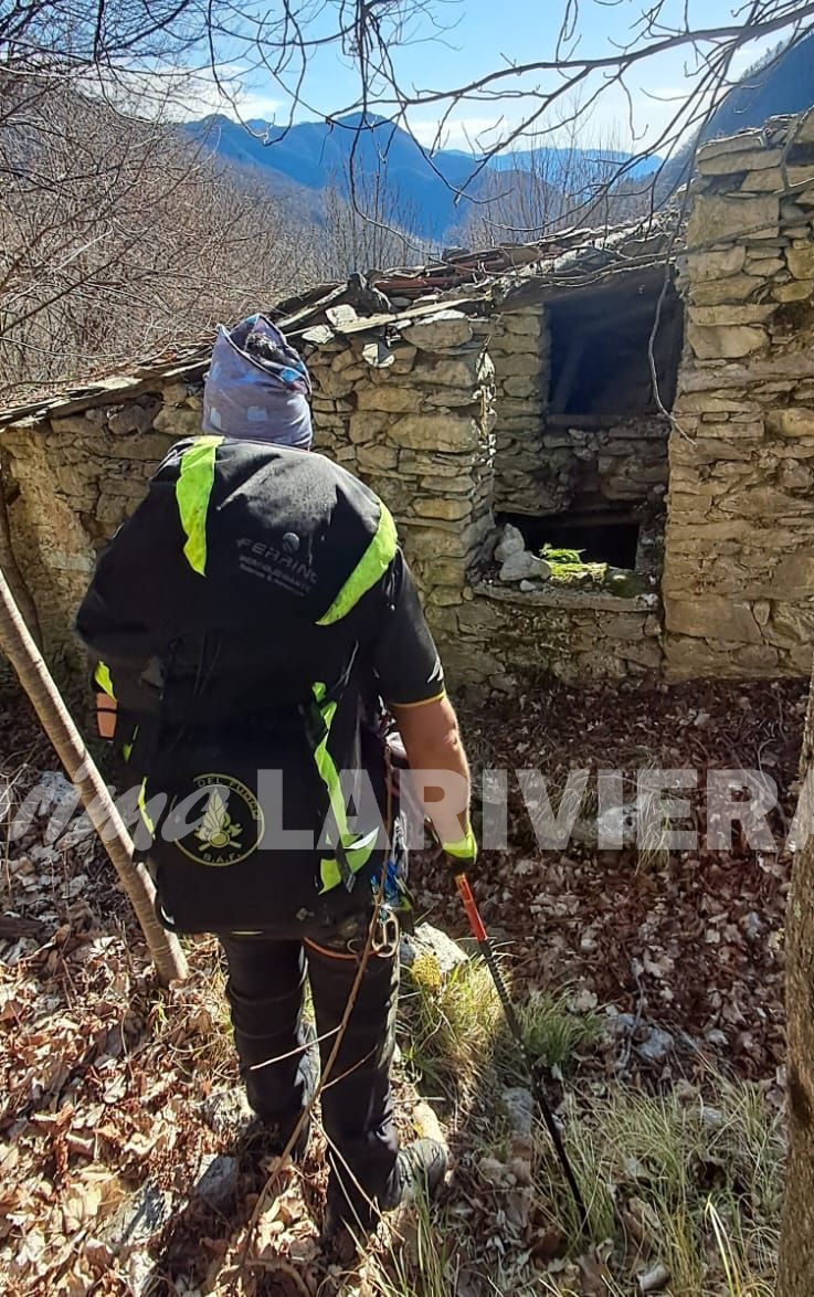 1 ritrovamento ricerche cane meticcio disperso colle melosa vigili del fuoco_02