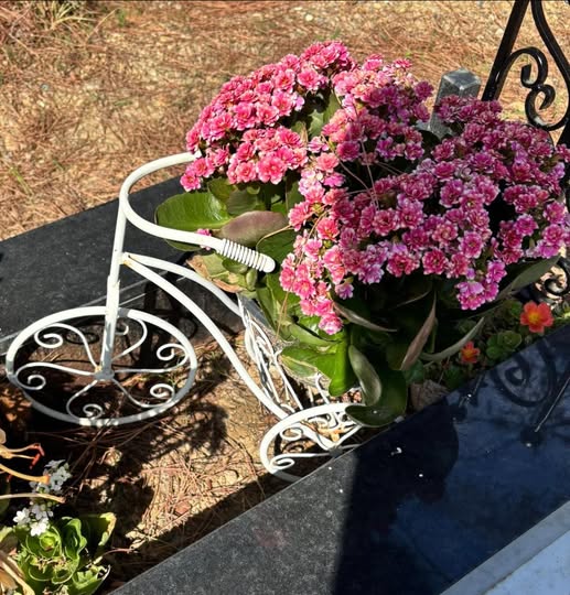 Rubata la bici portafiori sulla lapide di Richi Battista. La mamma: «Amareggiata»