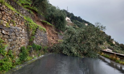 Frana invade la provinciale 51 tra Taggia e Castellaro