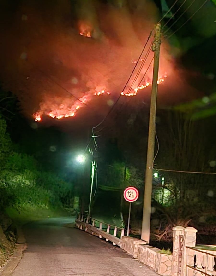 incendio tavole san bernardo di conio 4 marzo 2025_02