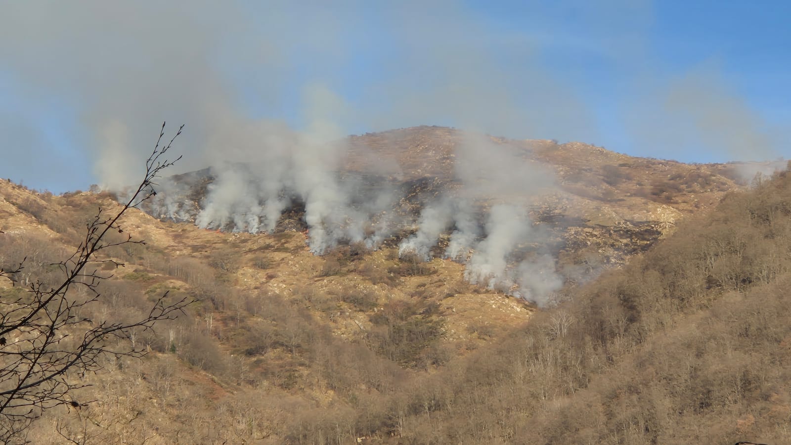 incendio tavole san bernardo di conio 4 marzo 2025_04