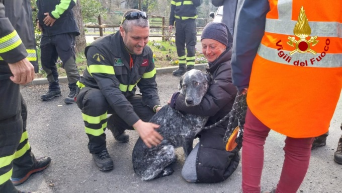 Trovato dopo tre giorni di ricerche: Rudy cane meticcio disperso sul Colle Melosa