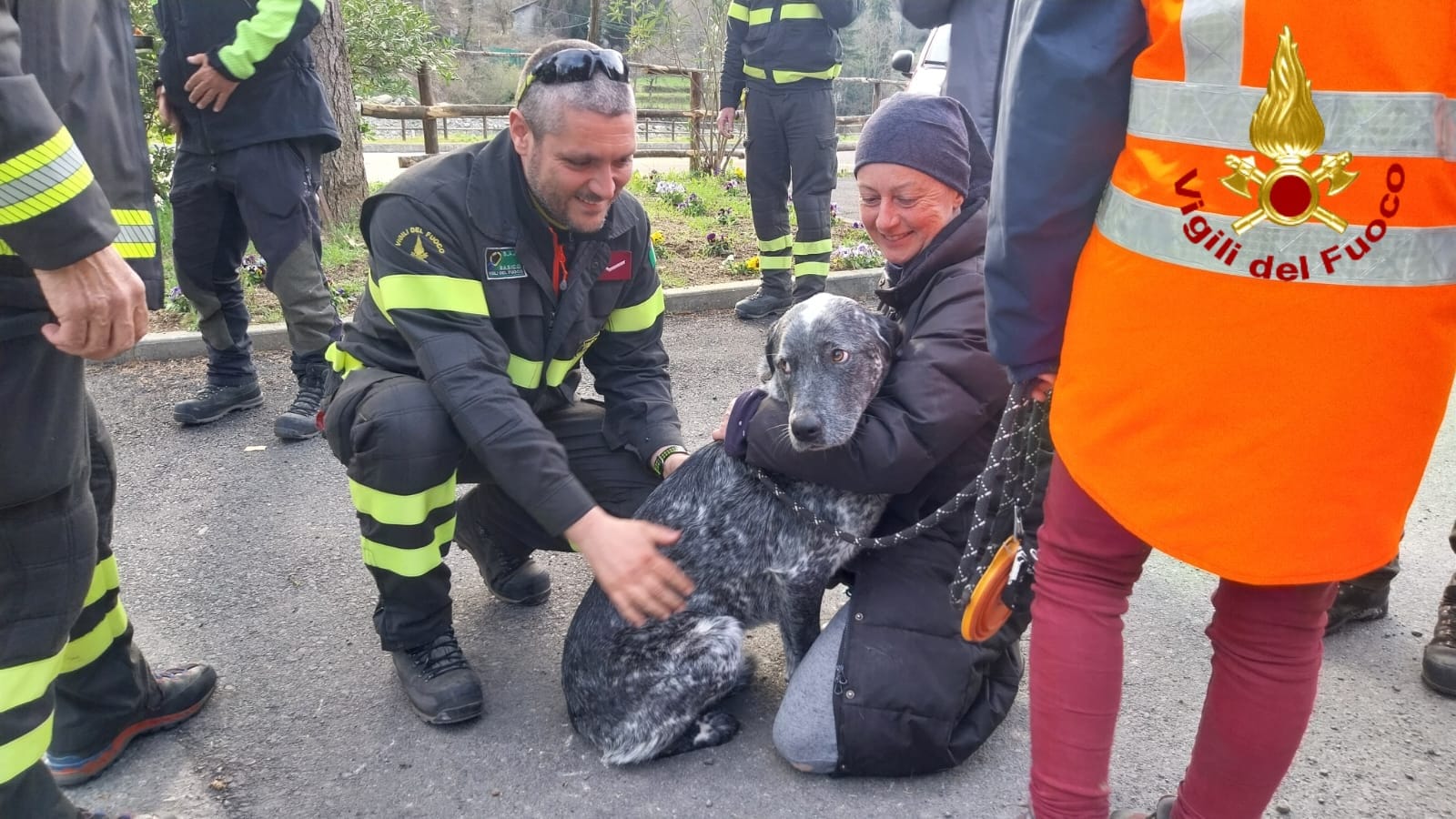 ritrovamento ricerche cane meticcio disperso colle melosa vigili del fuoco1