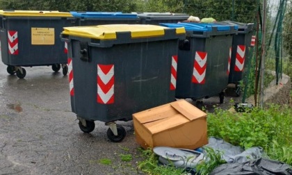 immagine notizia