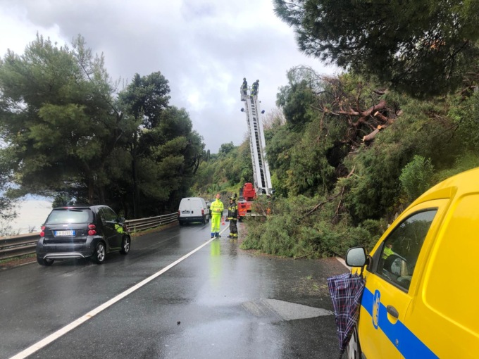 Albero caduto sull’Aurelia